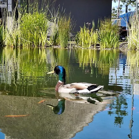 Gold - Mano Jura 3 - Kunigiskiai