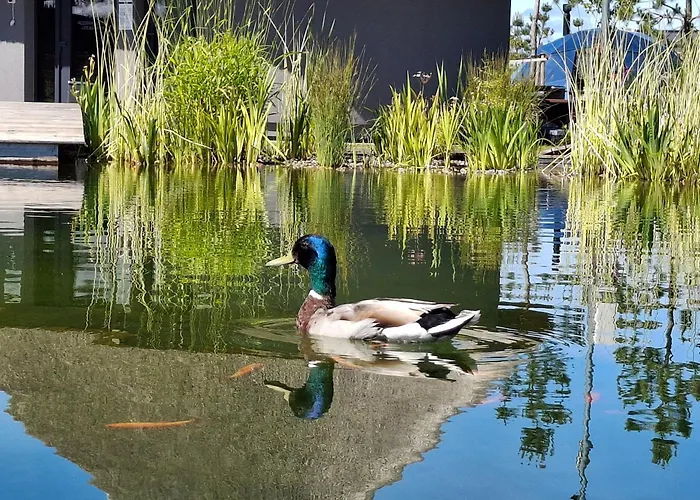 Gold - Mano Jura 3 - Kunigiskiai