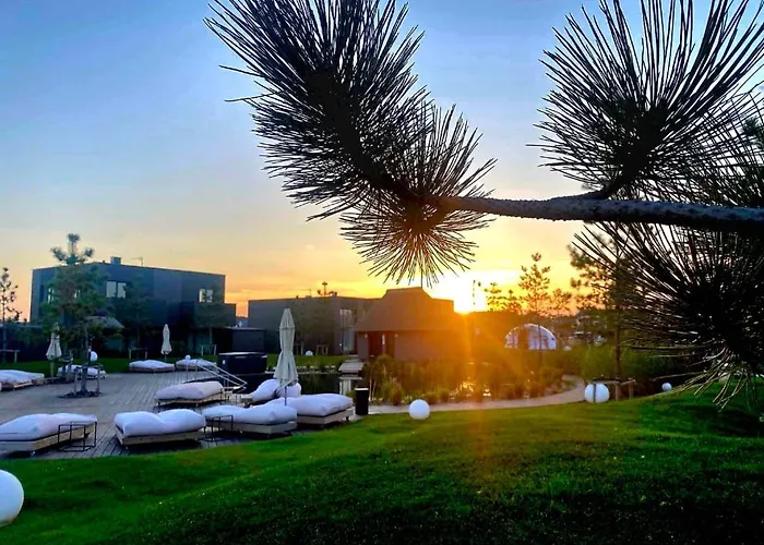 Gold - Mano Jura 3 - Kunigiskiai פלאנגה